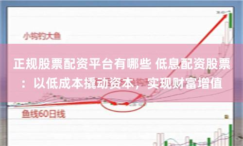 正规股票配资平台有哪些 低息配资股票：以低成本撬动资本，实现财富增值